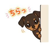 845633304