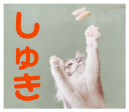 845633356