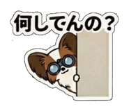 845633397
