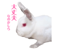 845633626