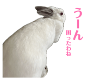 845633644