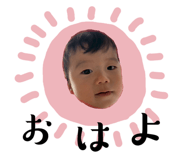 845633737