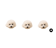845633960