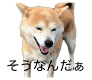 845633965