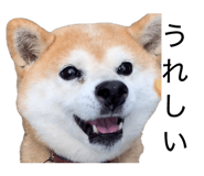 845633967