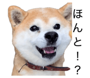845633968