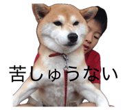 845633970