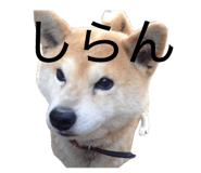 845633972