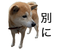 845633977