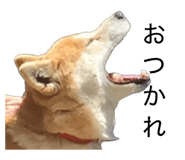 845633983