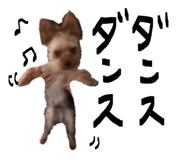 845634035