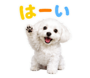 845634146