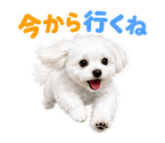 845634171