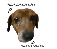 845634465