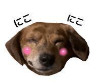 845634474