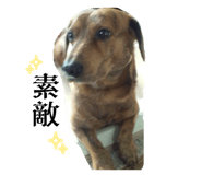 845634478