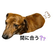 845634484