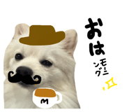 845634955