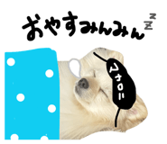 845634956