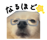 845634957