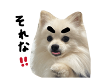 845634958
