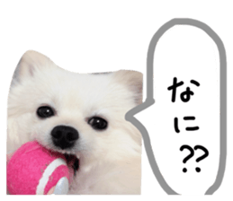 845634962