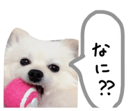 845634962