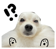 845634963