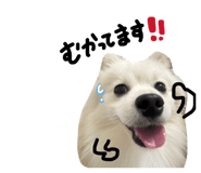 845634965