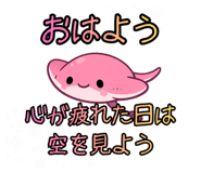 845635006
