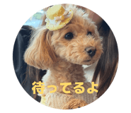 845635246