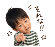845635527