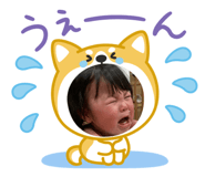 845635545