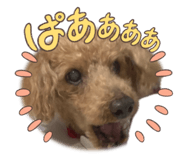 845635694
