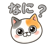 845635710