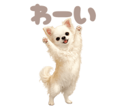 845644114