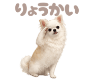 845644116
