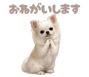 845644120