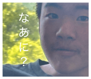 845646684