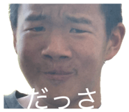 845646685