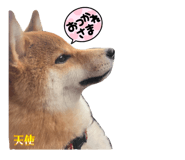 845646692