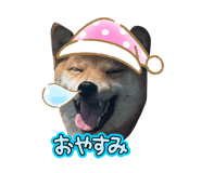 845646695