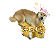 845646696