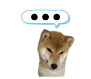 845646702