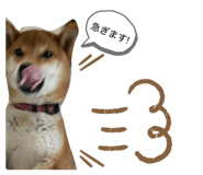 845646704