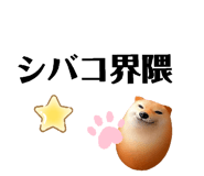 845646737