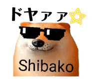 845646740
