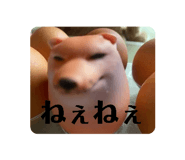 845646742