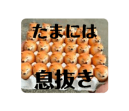 845646744