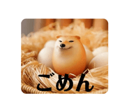 845646746